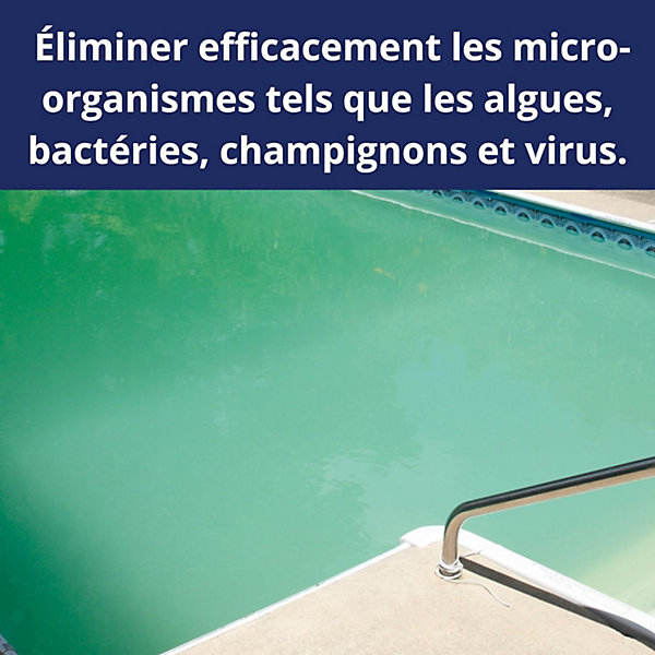 Chlore Choc GranulésPiscine, Traitement Eau Verte, Trouble, Algues et Les Micro-Organismes 5KG