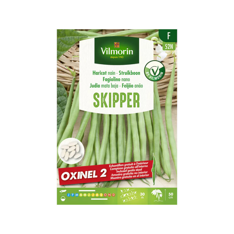 Semences de haricot nain Skipper   Oxinel 2 100 g VILMORIN