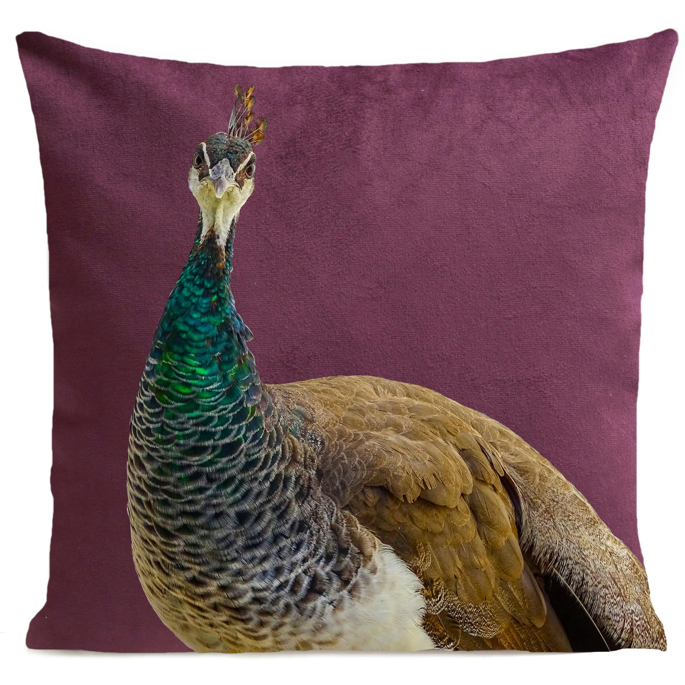 - Coussin campagne paon suédine violet 40x40cm