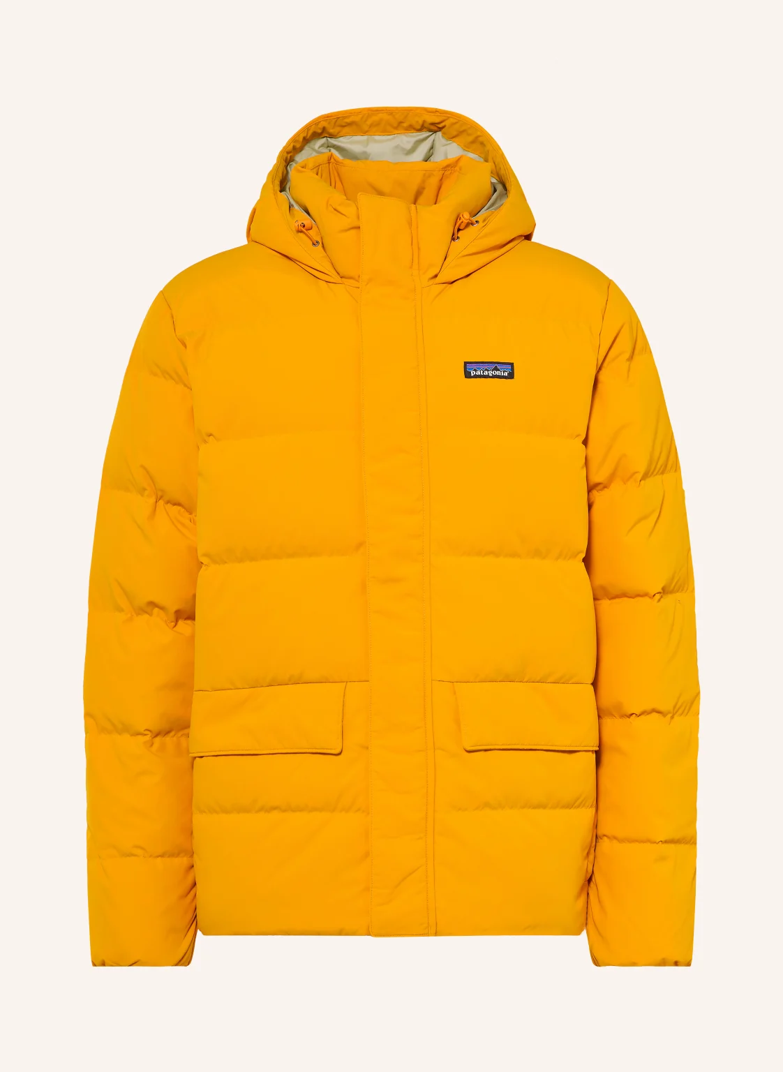 patagonia Daunenjacke SISAR