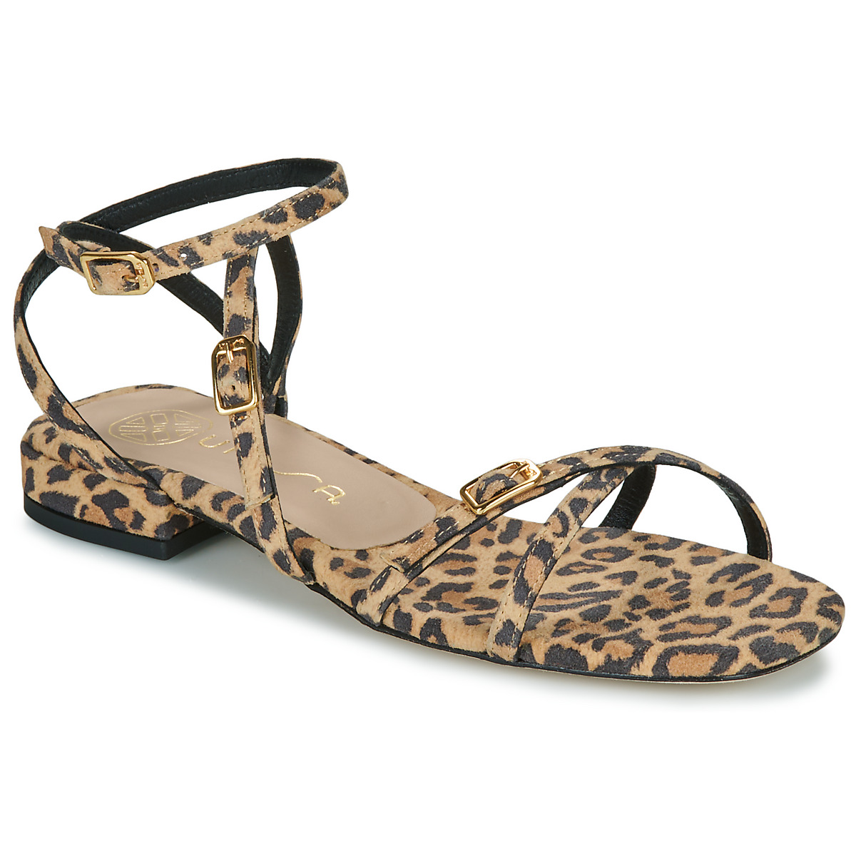 Unisa - CHISUN - Leopard