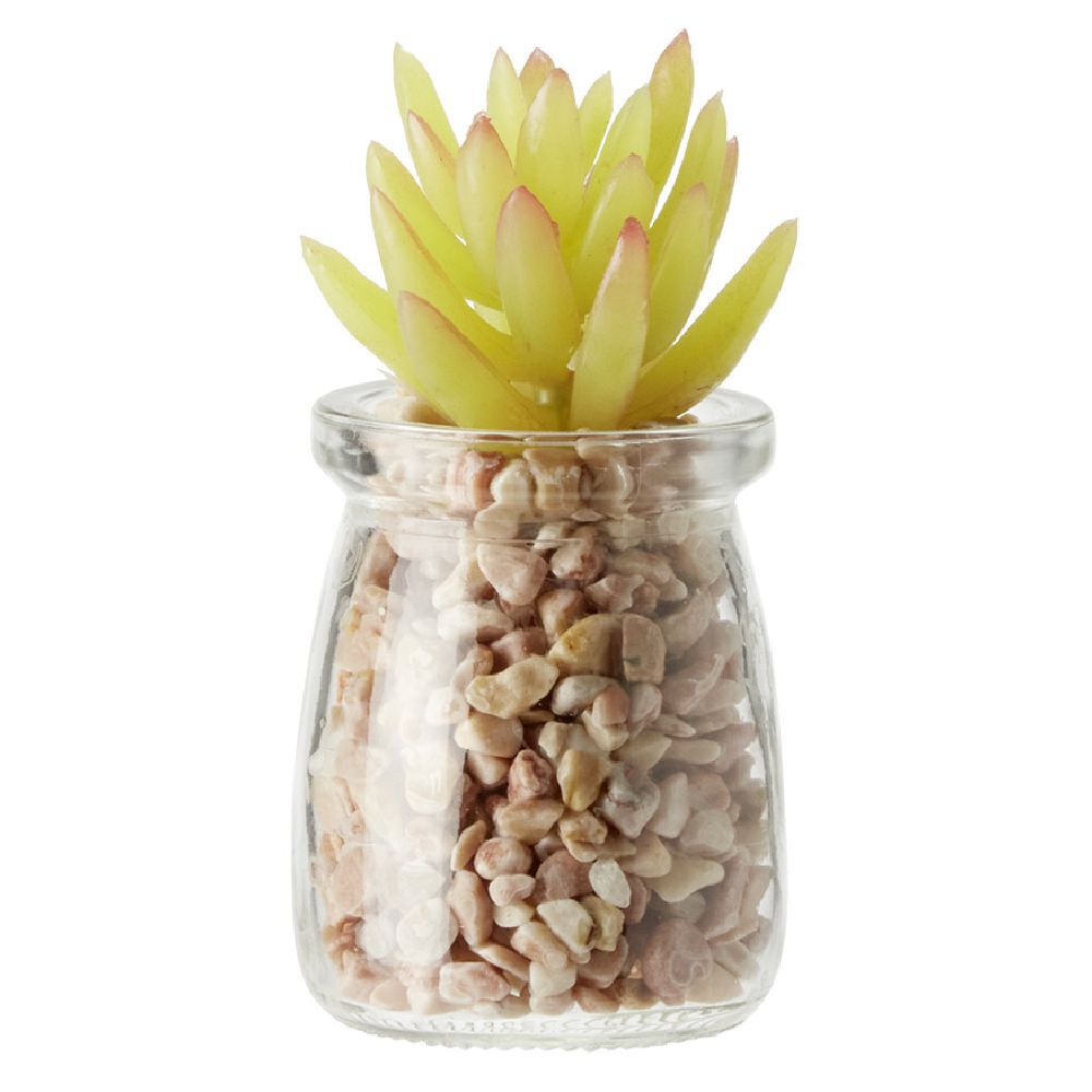 Plante en pot avec cailloux Ø5,5 cm