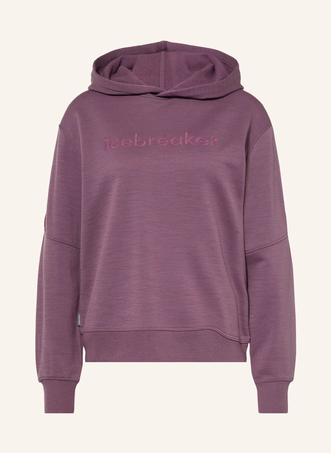 icebreaker Hoodie 360 REALFLEECE ELEMENTAL aus Merinowolle