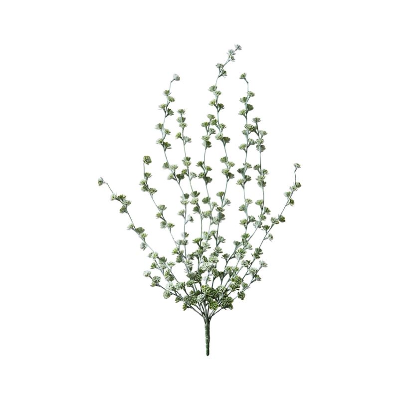 Babylon Green Stem