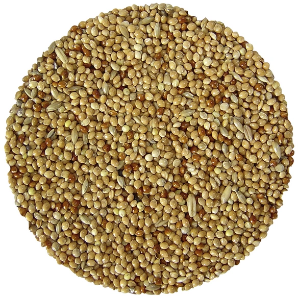 Vogelfutter, 2,5kg, Hirse/Saaten, für Wellensittiche