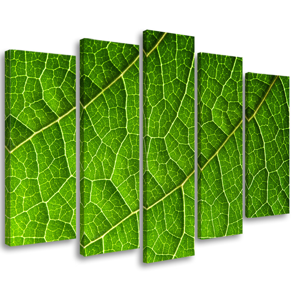 Feeby Obraz 5 częściowy na płótnie Zielone Liście Natura
