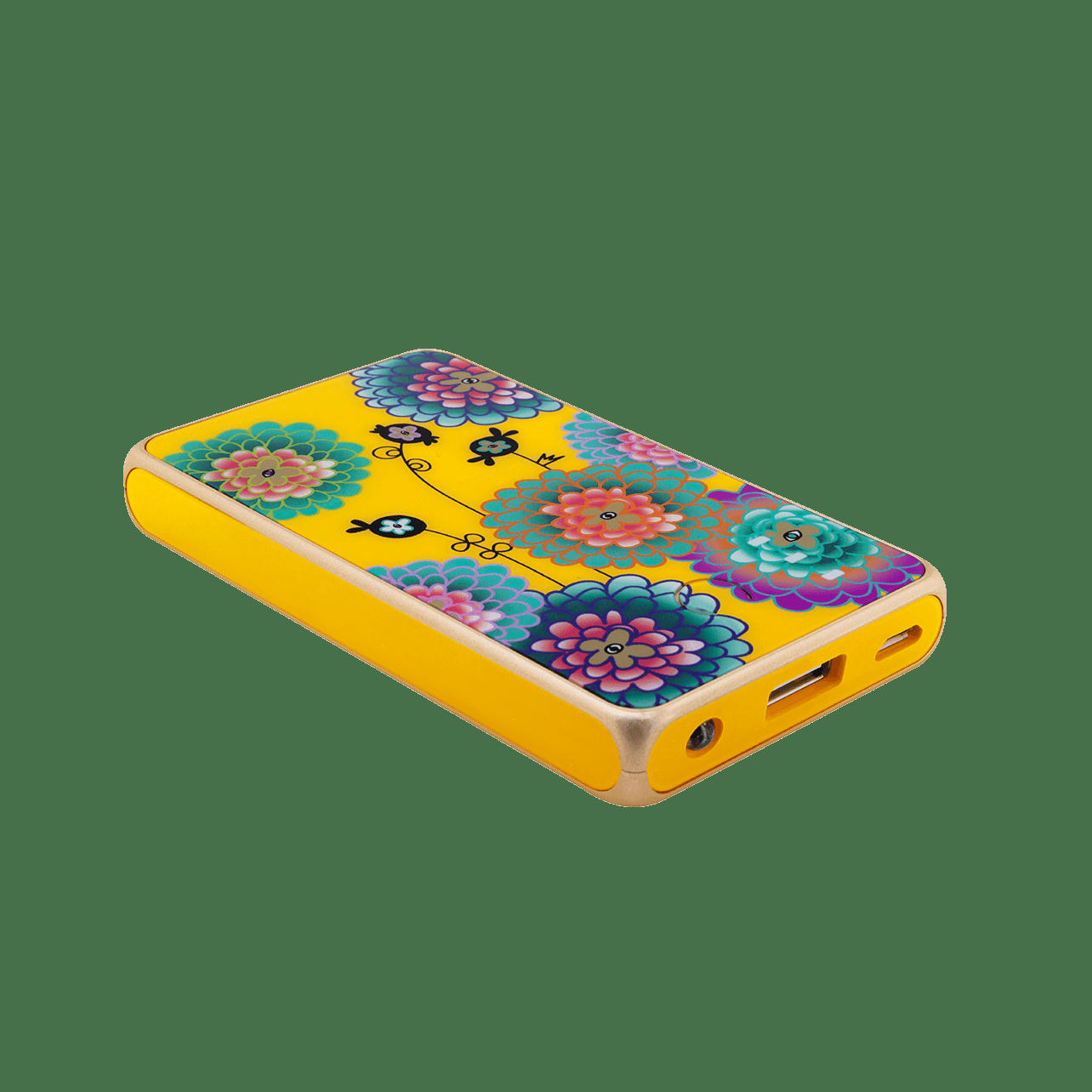 GET THE POWER 2 - Batterie externe nomade 5000mAh