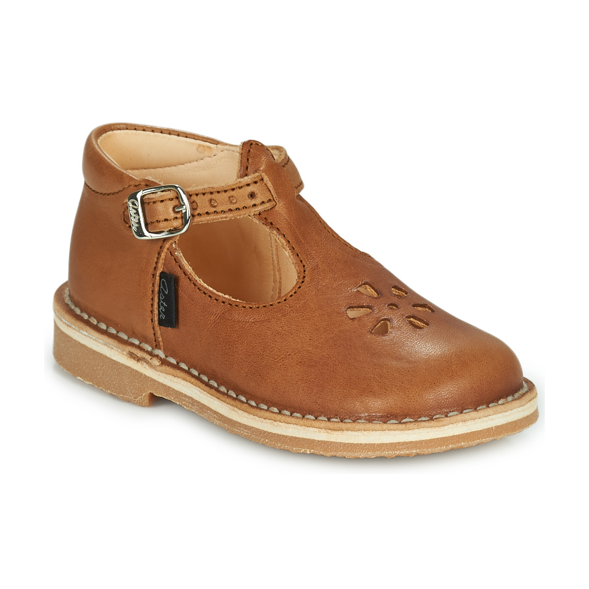 Aster - BIMBO - Cognac