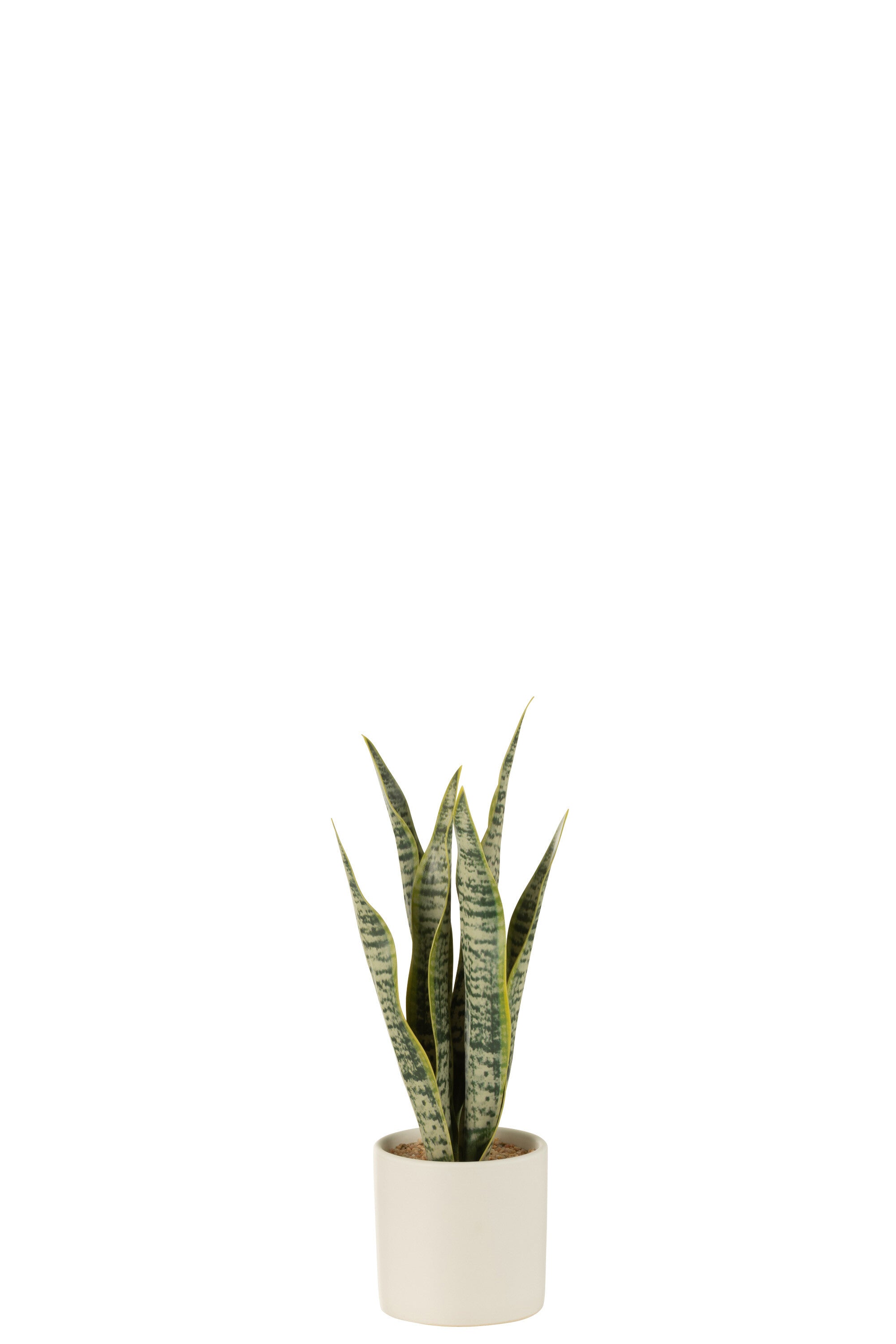 J-Line plant Sansevieria in pot - kunststof - groen - small