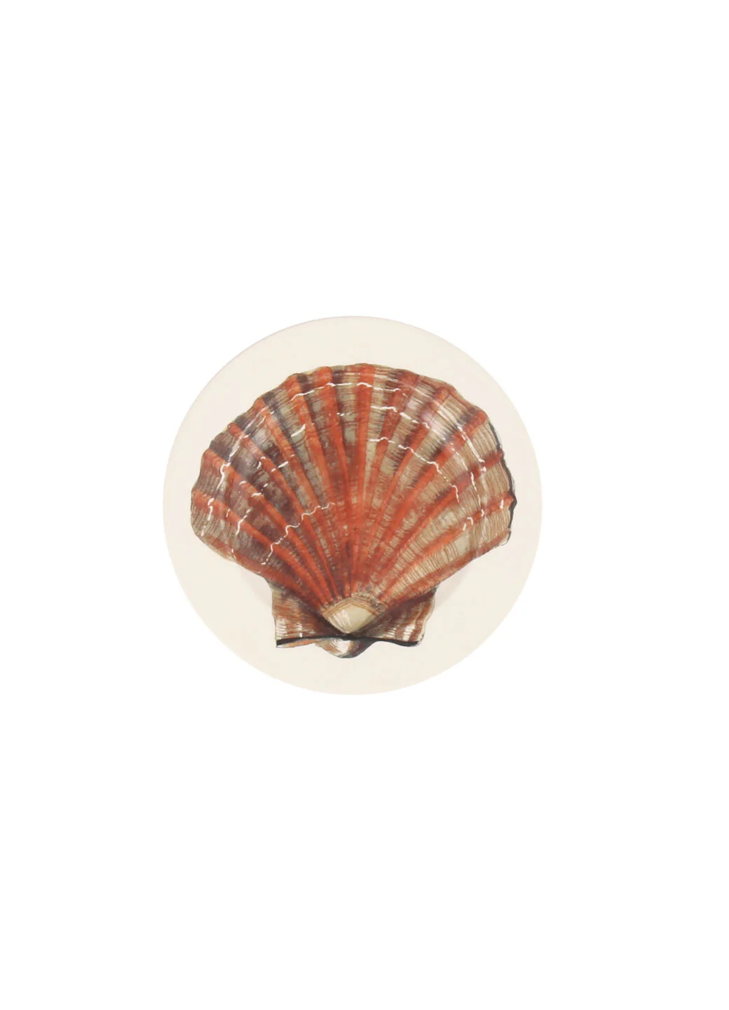 Scallop Shell Small Side Plate, 6.5 Inch