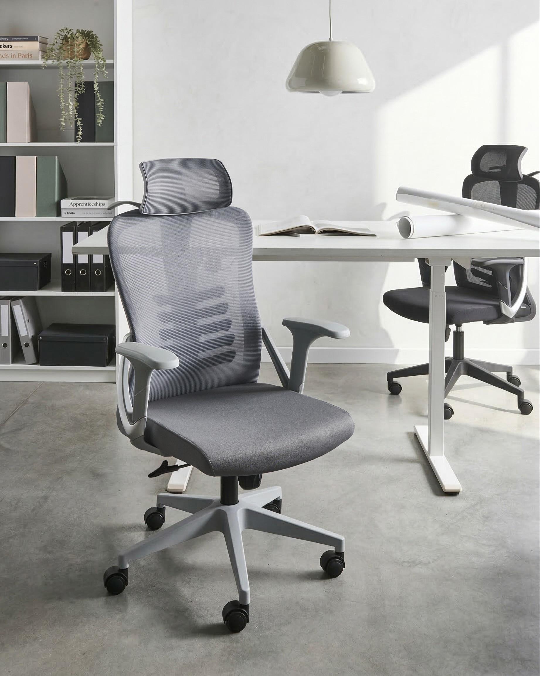 Office Chair ERGONOX Grey