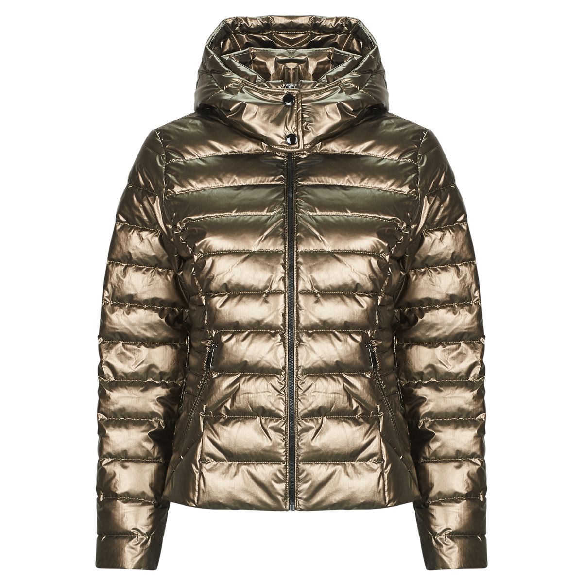 Morgan - GELOLA - Bronze
