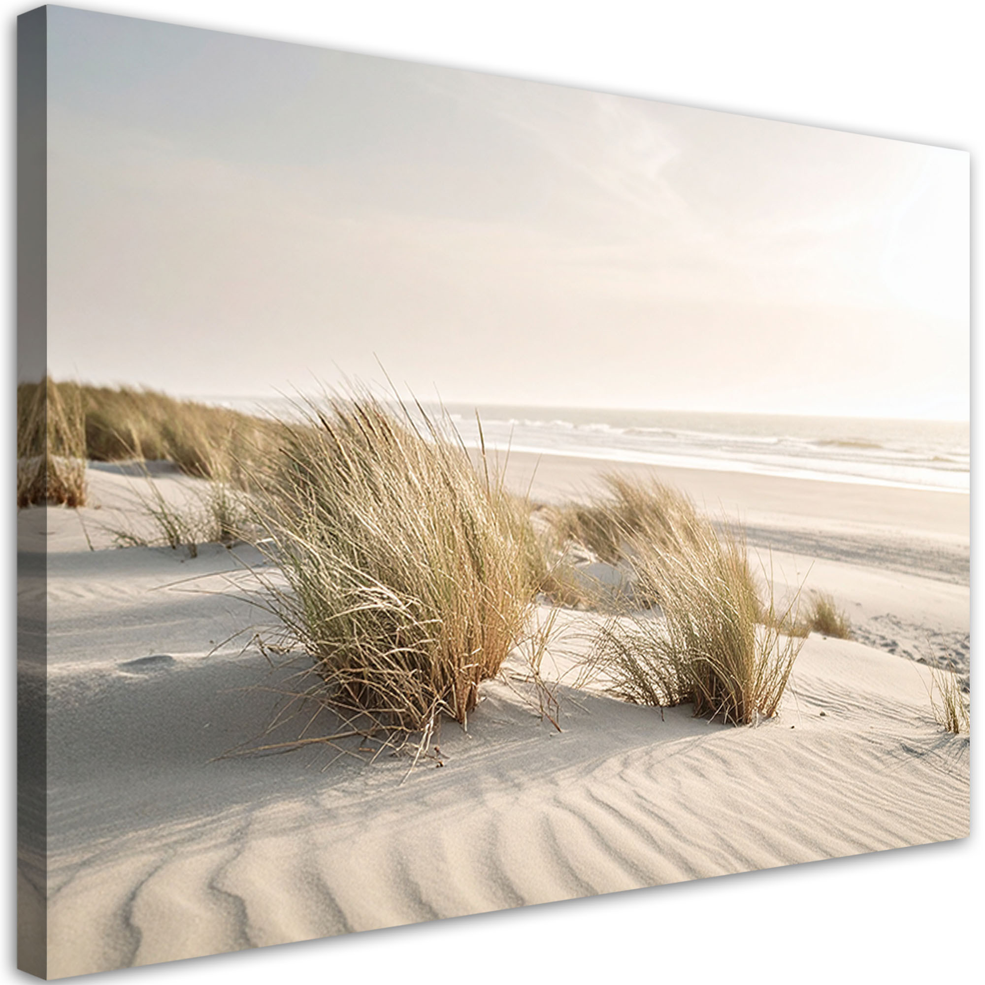 Obraz do salonu sypialni jadalni, Plaża morze wydmy natura rośliny 30x20