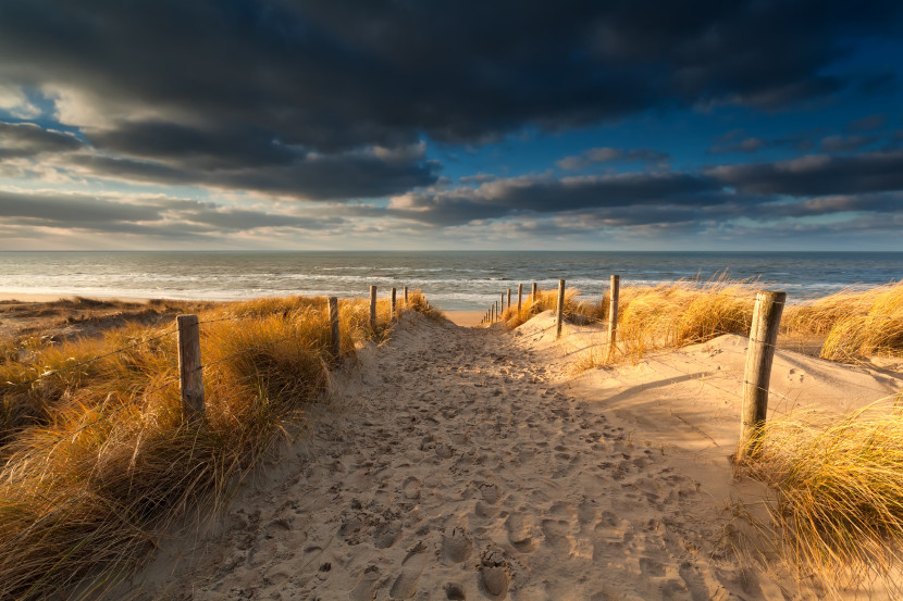 Fototapeta Plaża Nad Morzem Północnym 90x60cm