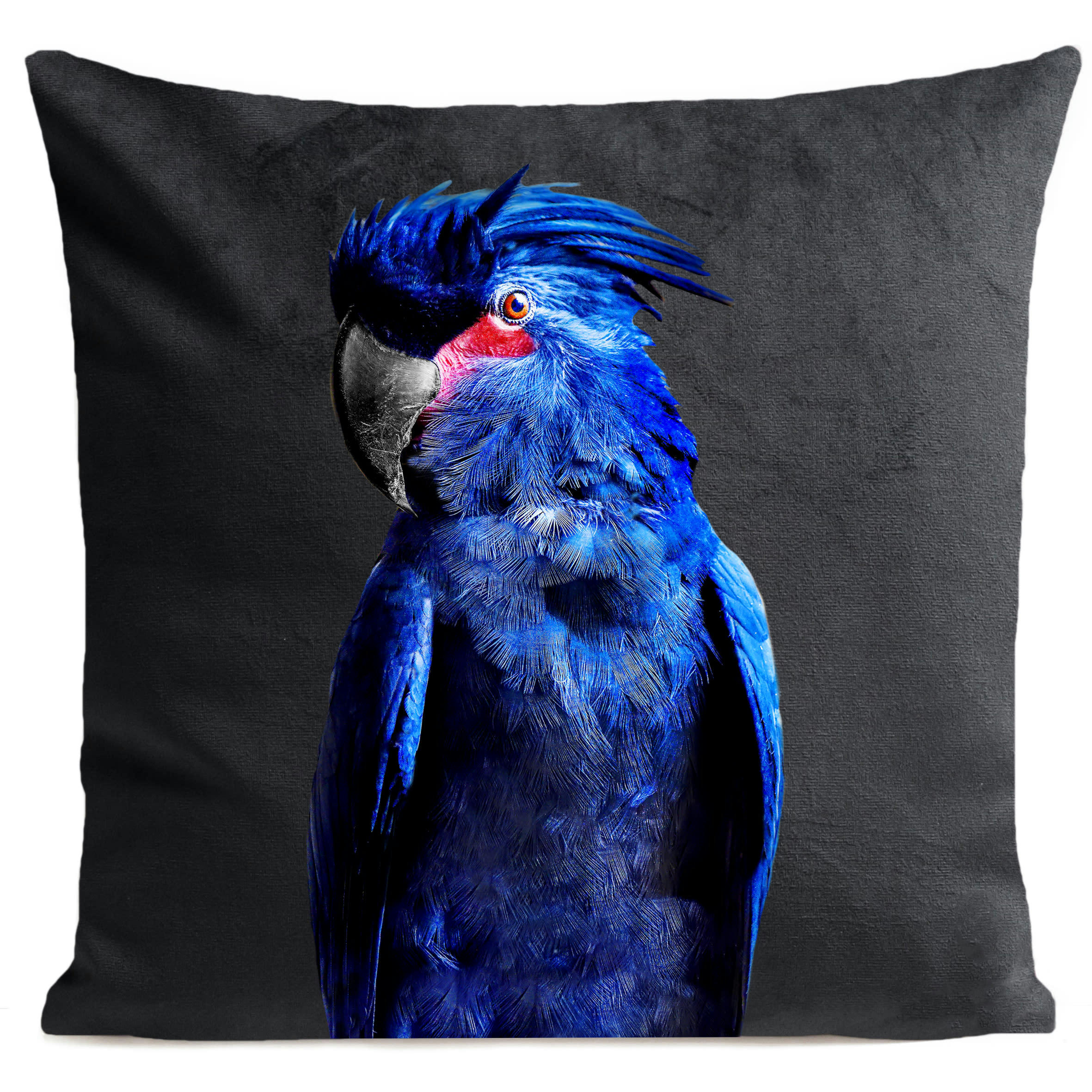 - Coussin tropical oiseau perroquet suédine gris 40x40cm