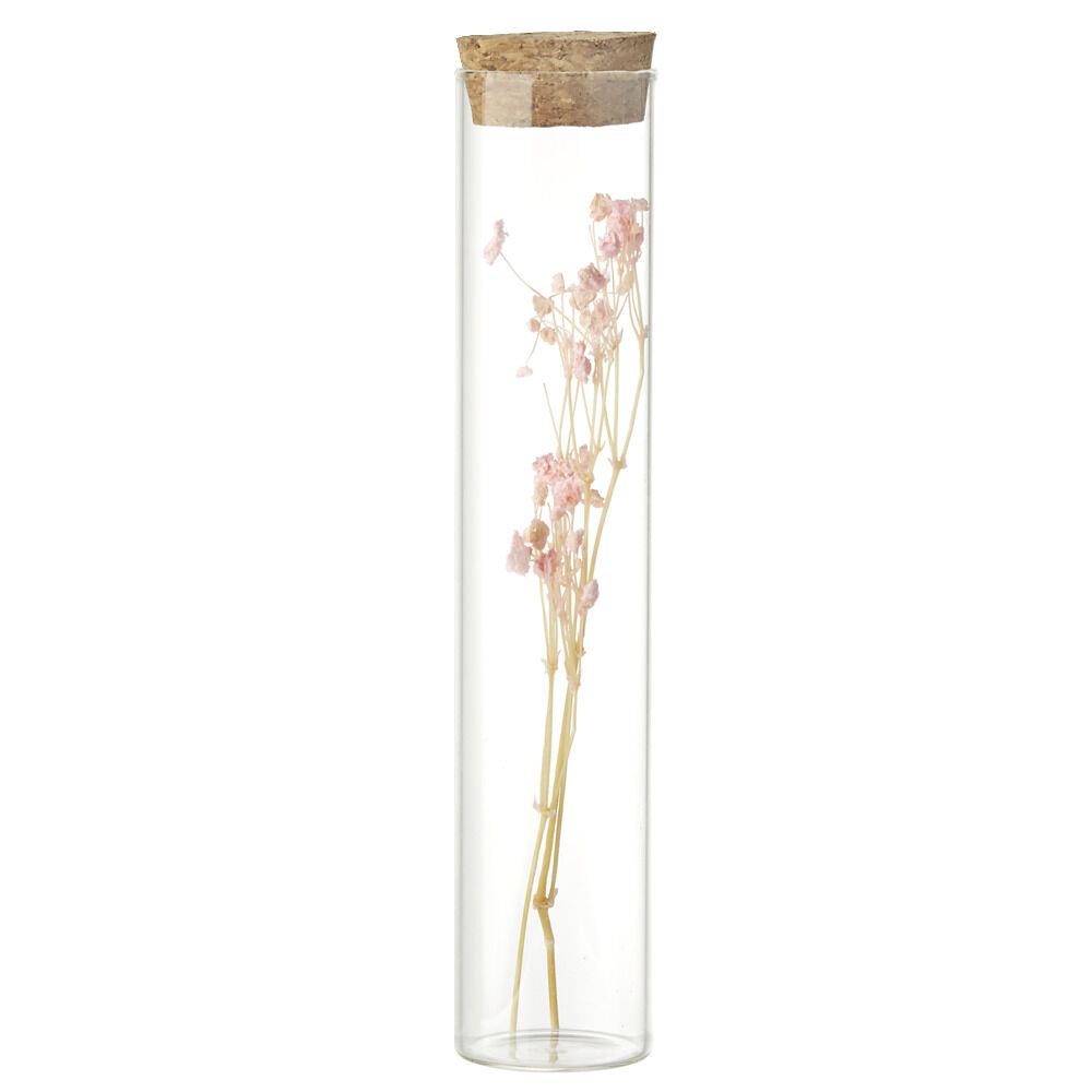 Fleurs séchées dans tube Ø3xH17cm (4 modèles)