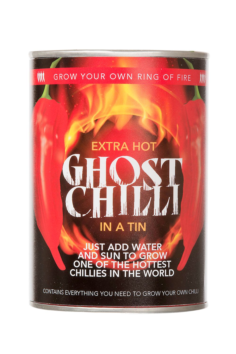 Funtime Gifts Grow Your Own Ghost Chilli