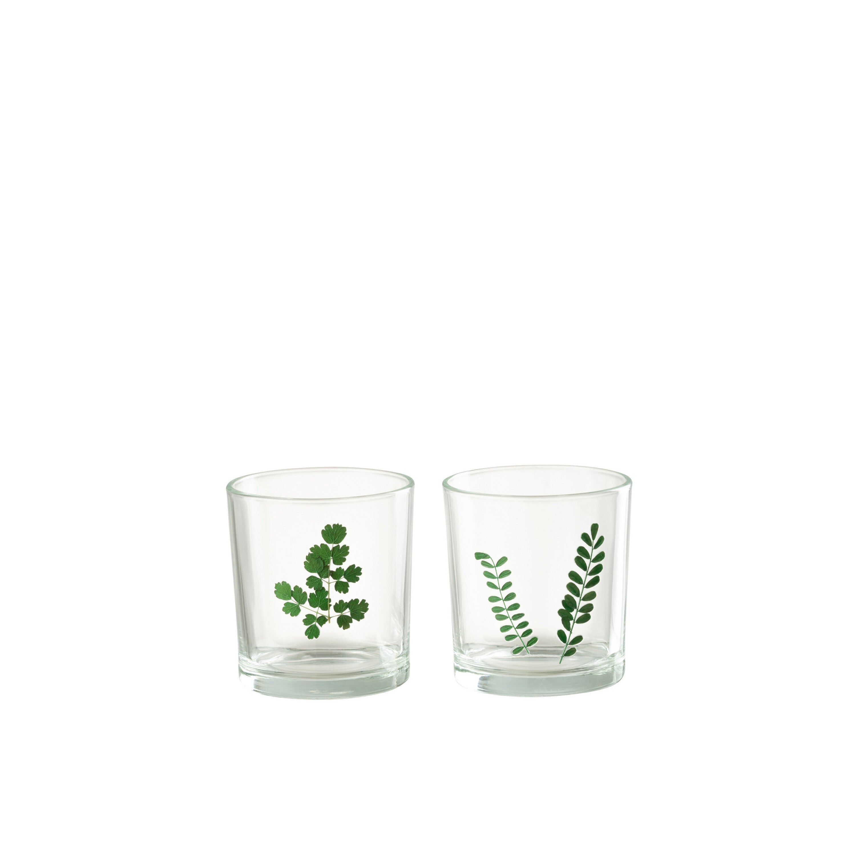 J-Line windlicht Bladeren - glas - groen transparant - small