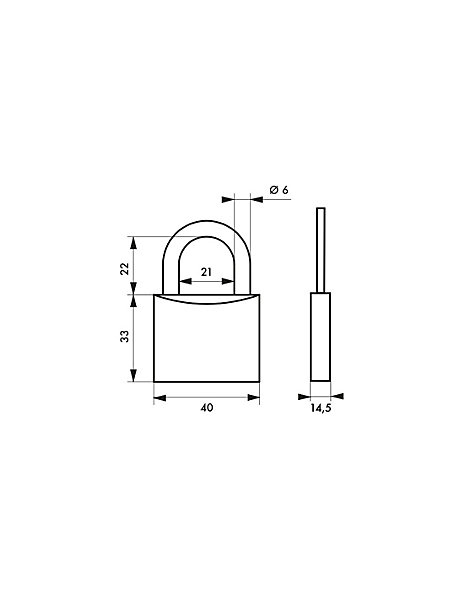 Cadenas à clé Type 1 UNIKEY (achetez-en plusieurs, ouvrez avec la même clé), 40mm, anse laiton, 2 clés - THIRARD