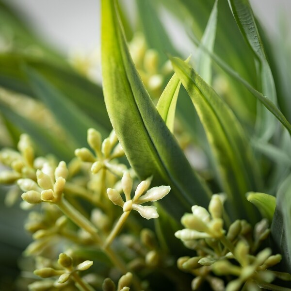 17"H Sullivans Seeded Spike Eucalyptus Bush, Green - 9.5"L x 9.5"W x 17"H