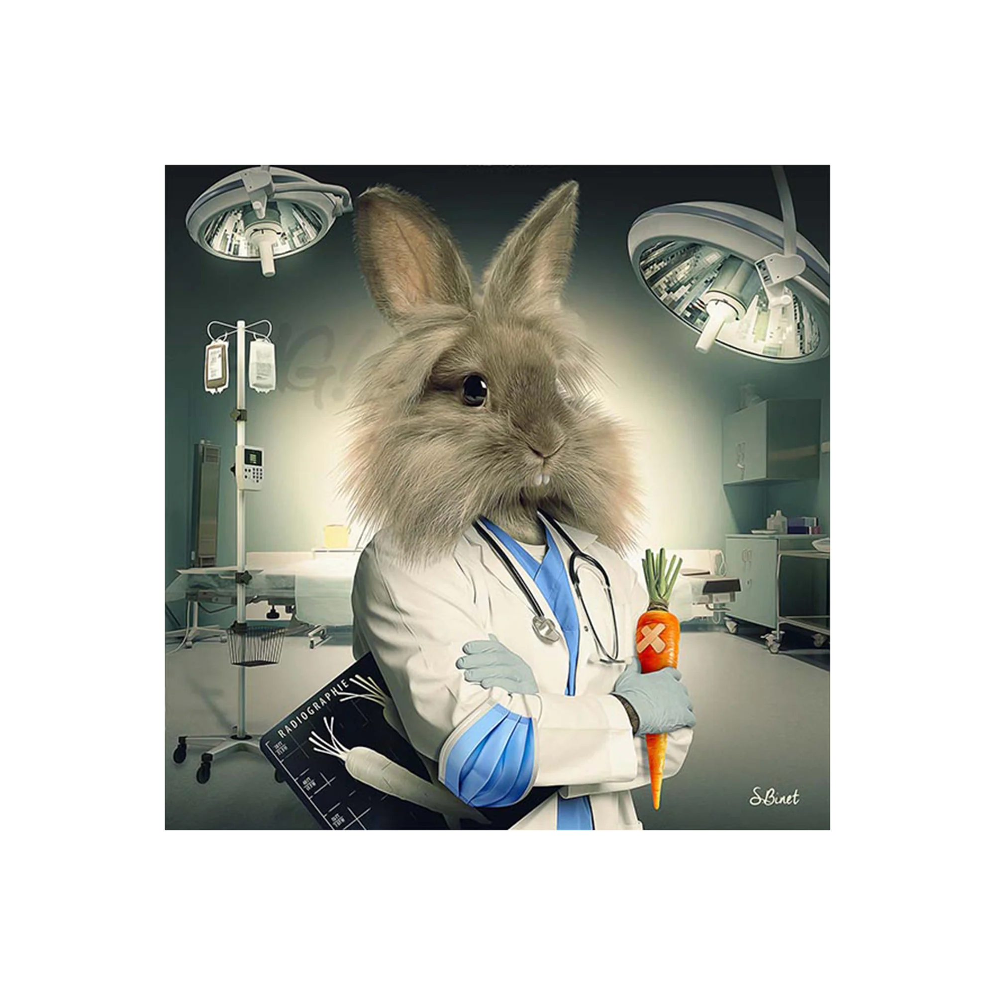 Tableau BINET LAPIN INFIRMIER coloris noir