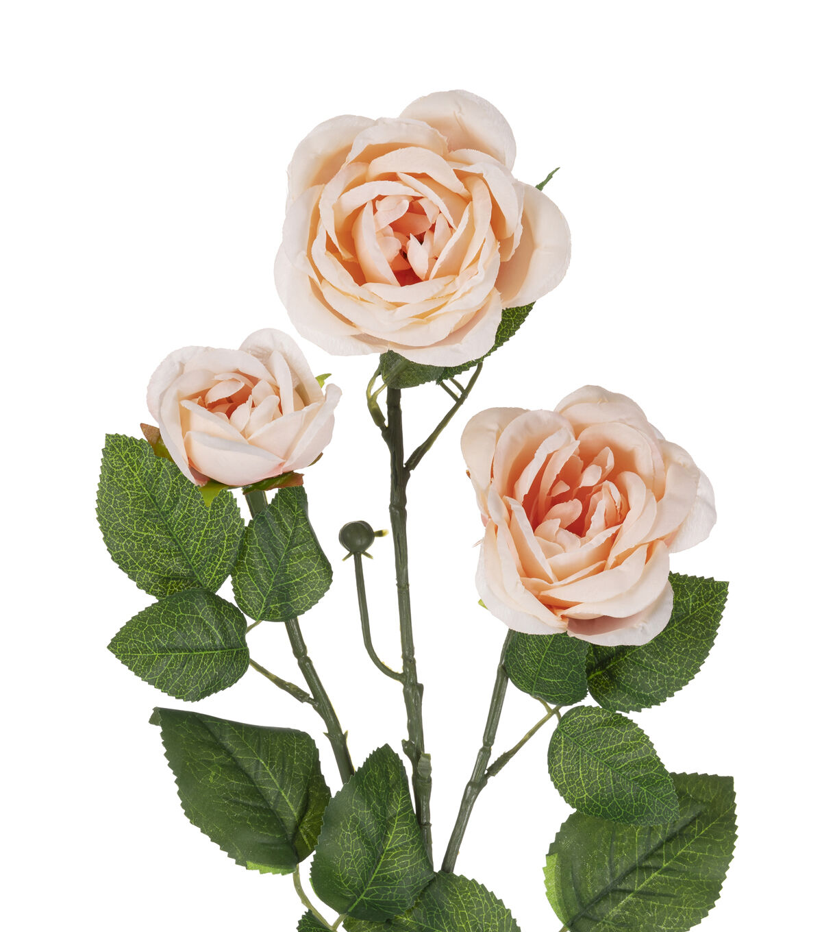 31 Blush Cabbage Rose Stem by Bloom Room