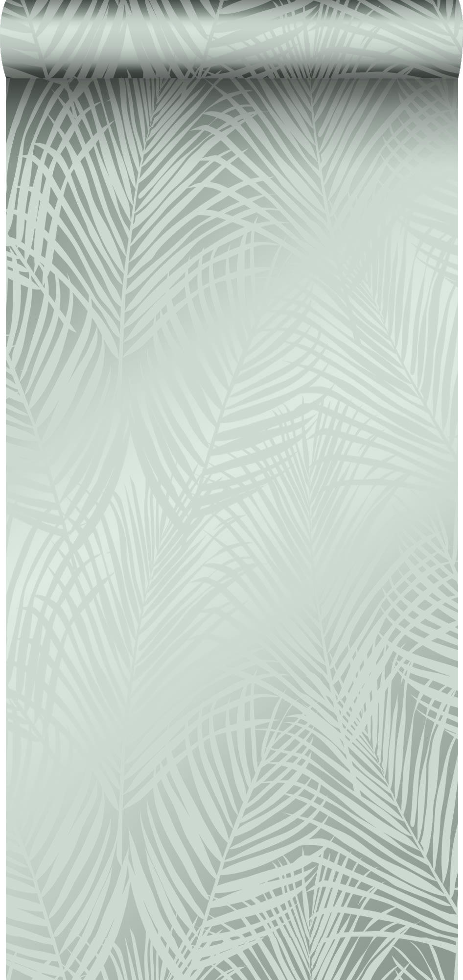 CITY CHIC - papier peint feuilles de palmier vert céladon 0,53 x 10,05 m