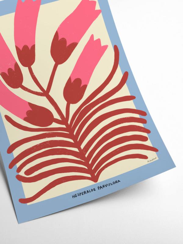 PSTR studio - Madelen - Hesperaloe Parviflora