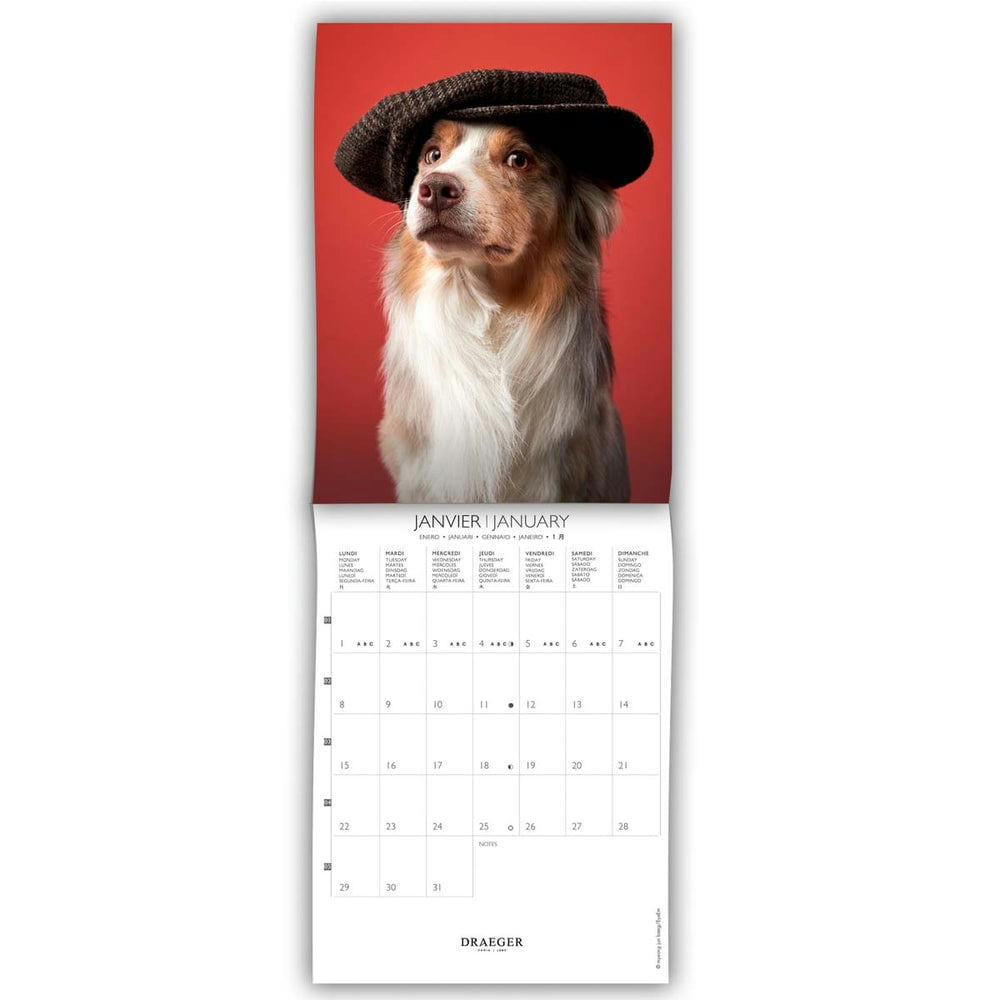 - Petit calendrier mural 14x18  cm - 2024 - Chiens