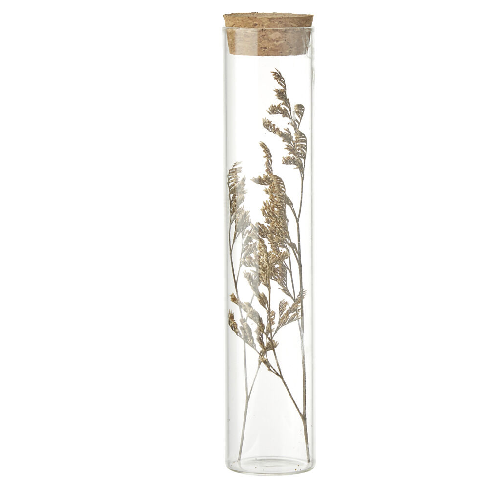 Fleurs séchées dans tube Ø3xH17cm (4 modèles)