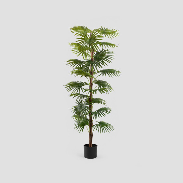 Roślina sztuczna TROPICAL ZONE palma wysoka 150 cm HOMLA