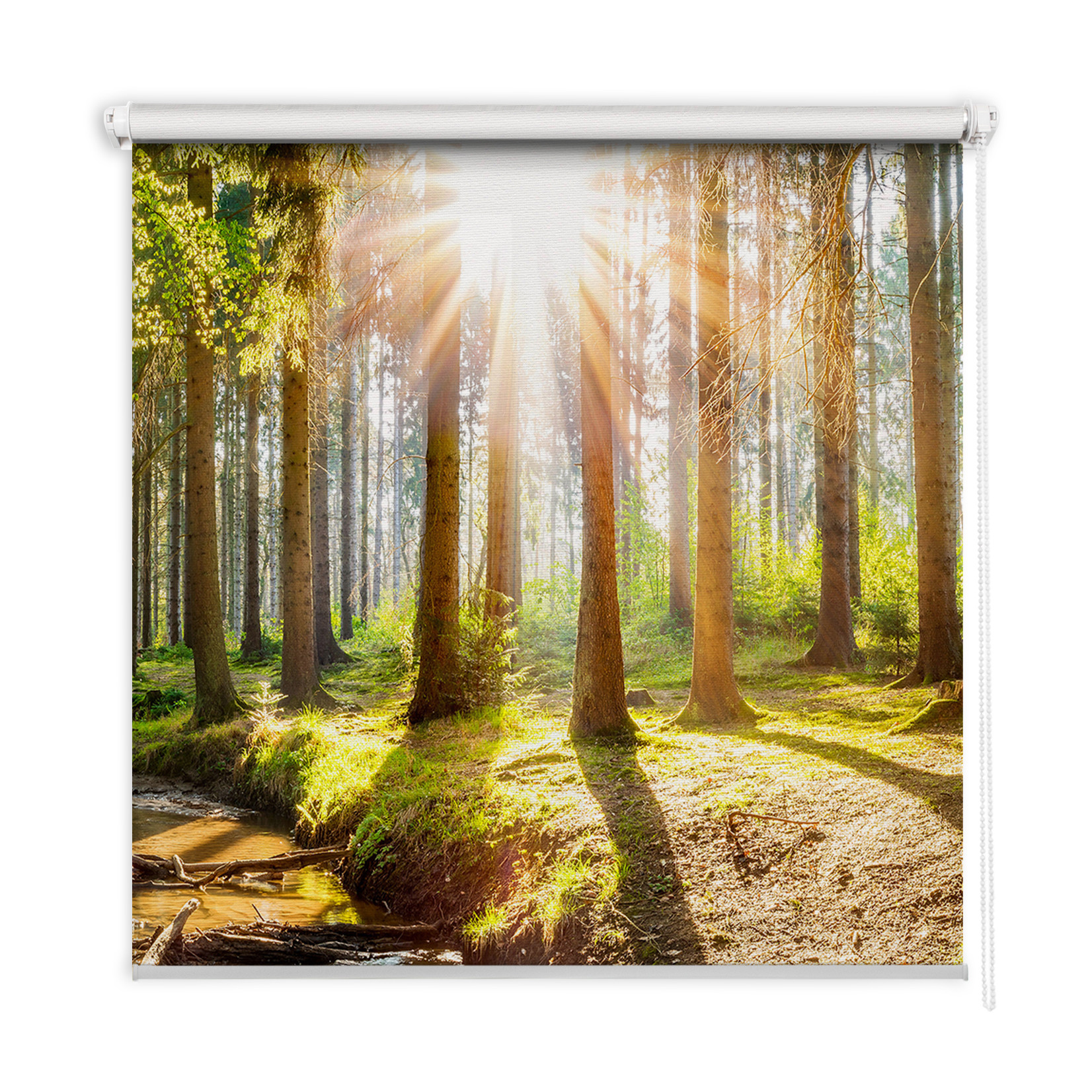 Roleta wewnętrzna - 50x50 cm - Promienie słońca w drzewach