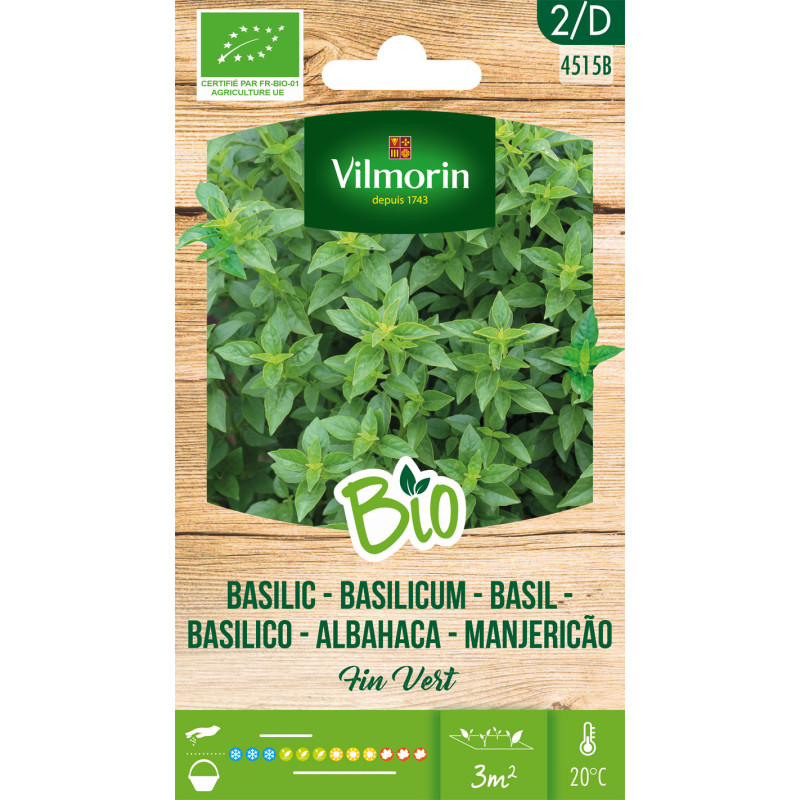 Semences de basilic Fin Vert Bio