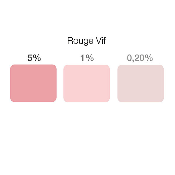 Colorant universel pour peinture marrion rouge vif 250ml