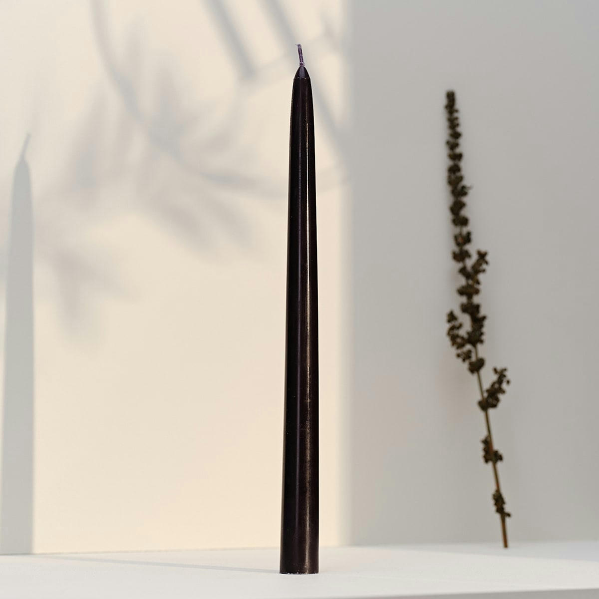 - 12 bougies flambeaux 8h Noir Intemporel