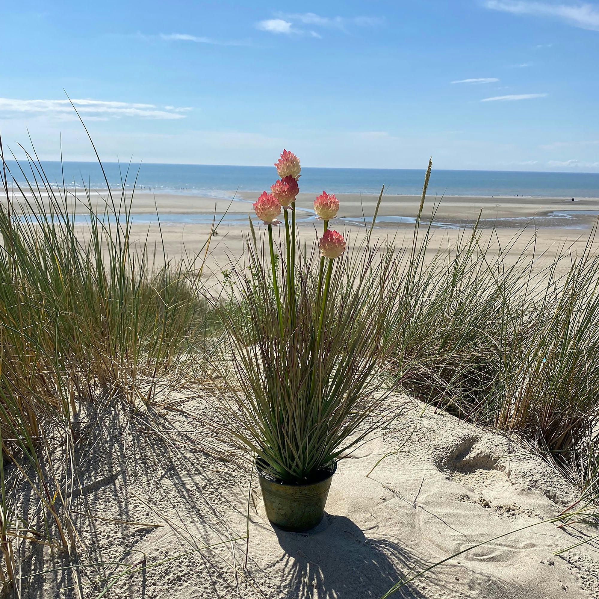 GRAMINEE - Graminée fleuri artificielle avec pot en zinc h53cm