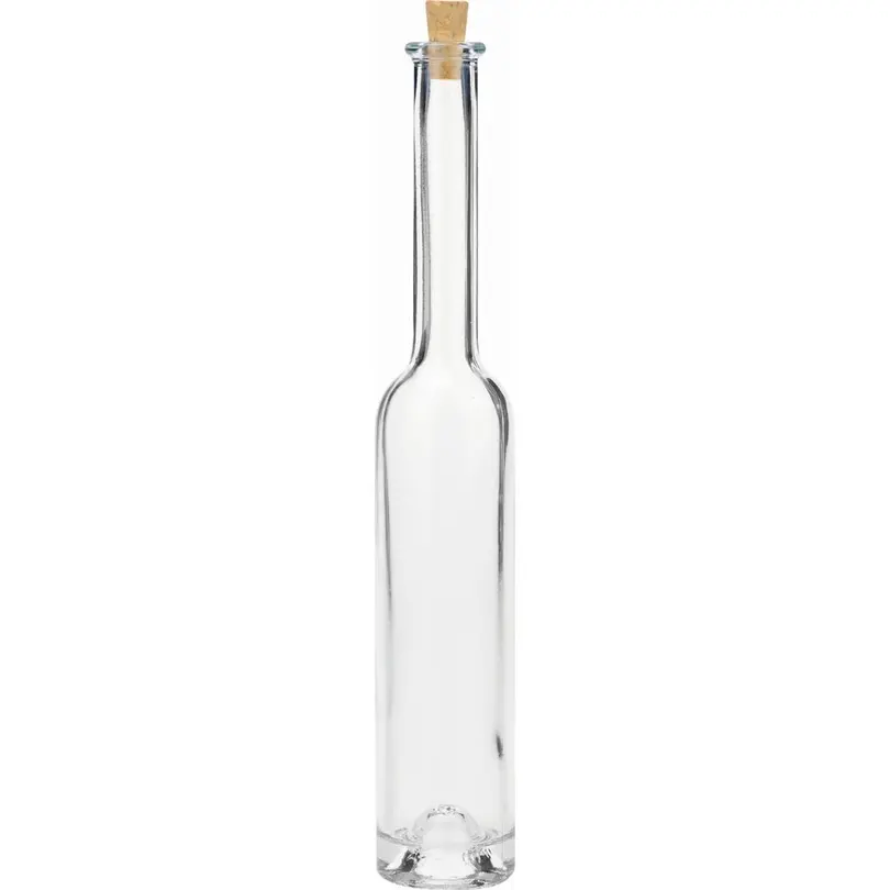 Flasche Disney Frozen