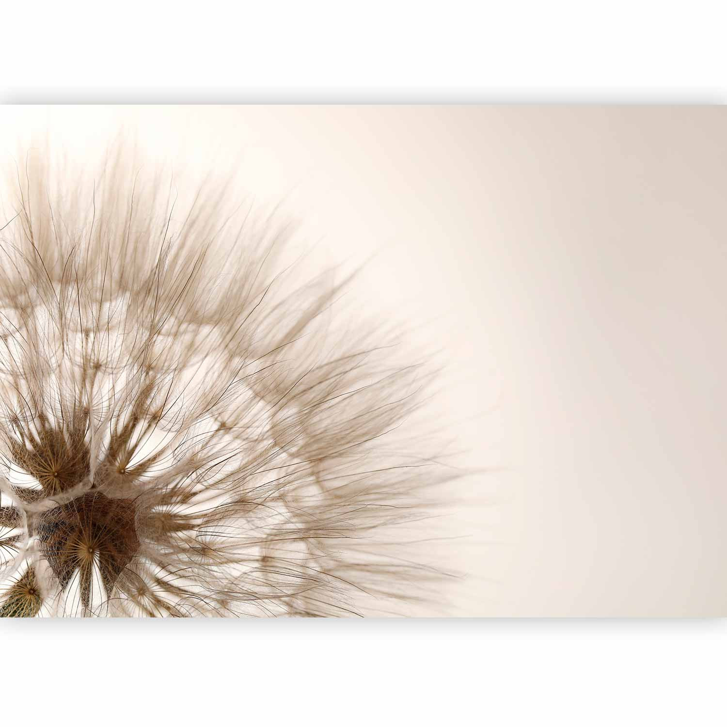 Fototapeta flizelinowa Artgeist 110g/m2 rolka 1 szt