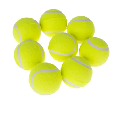 zooplus Basics Tennis Ball Set