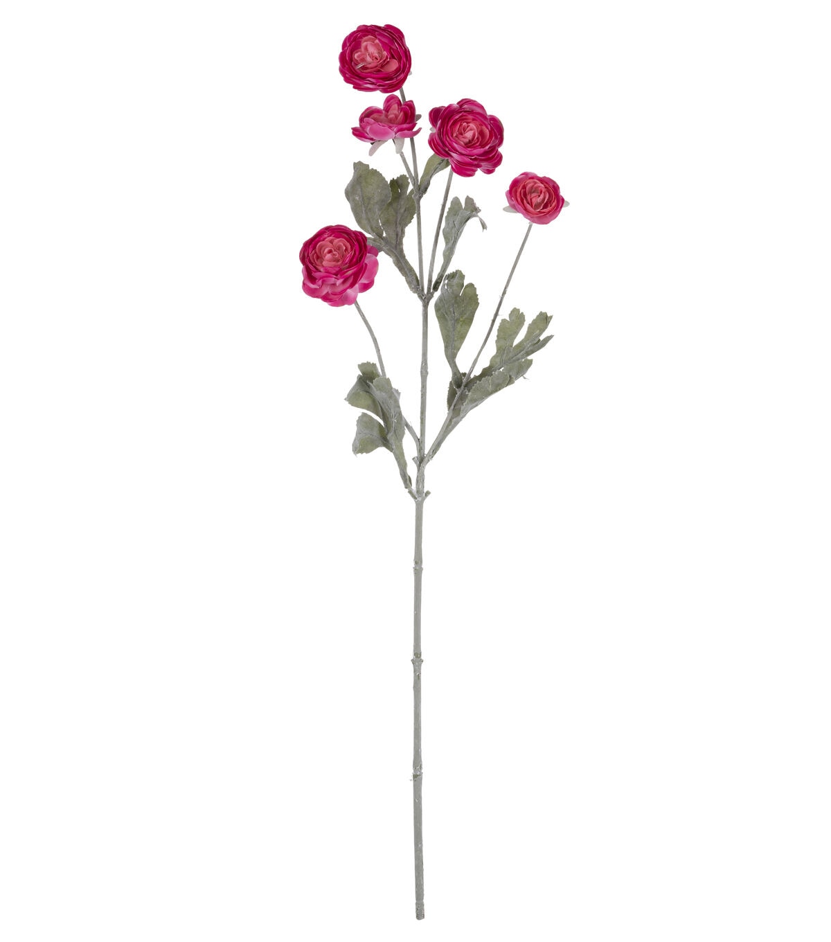 27 Light Fuchsia Ranunculus Stem by Bloom Room