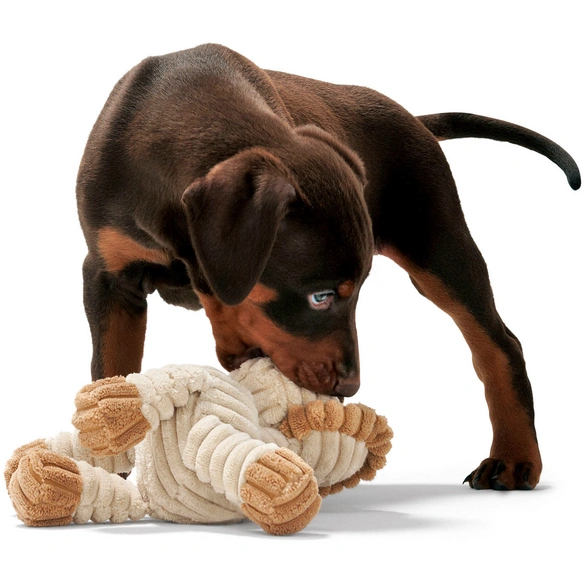 Hundespielzeug, mehrfarbig