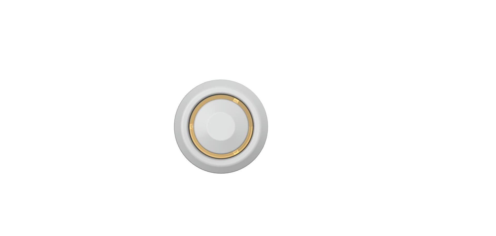 Globe Wired Recess Mount Water-Resistant Lighted Doorbell Push Button, White Metal