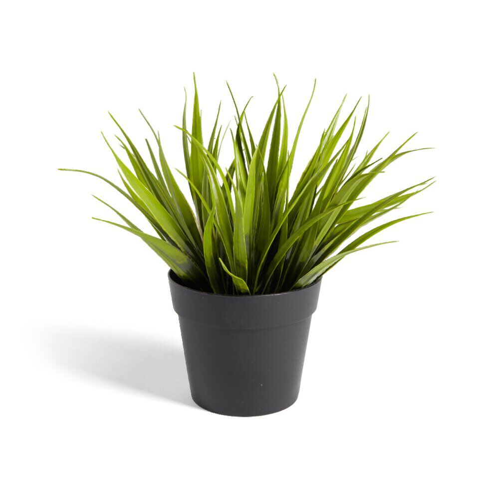 Plante artificielle dans pot plastique noir 9xH13,5cm