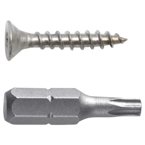 Profil, Motivo Schraube V2A, 3,0x16 mm 100er-Packung mit Bit