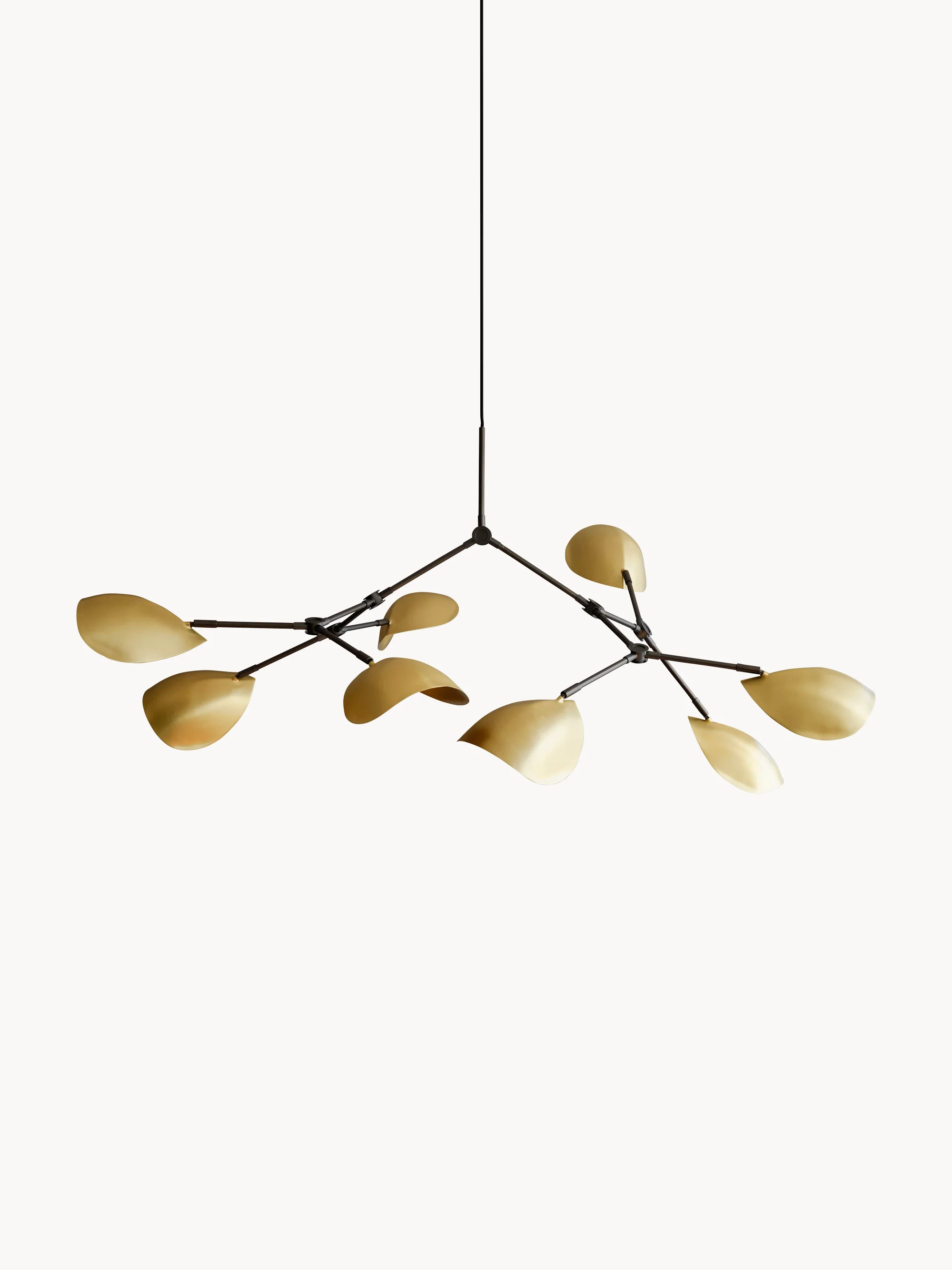 Großer Kronleuchter Stingray