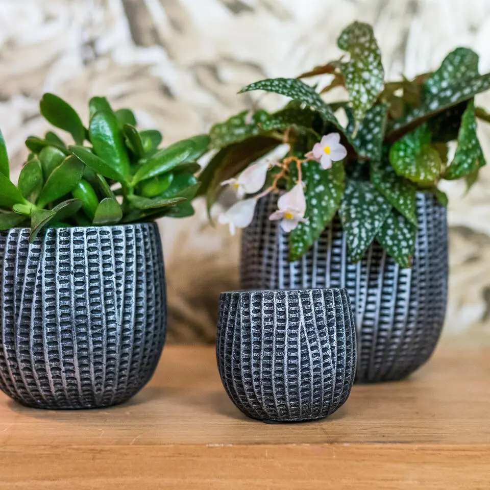 Ter Steege Bloempot/plantenpot - binnen - zwart/metaal - D15/H13 cm