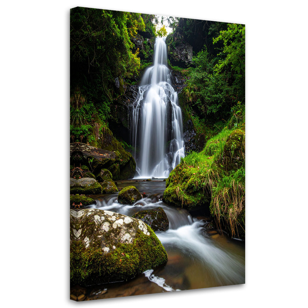 Obraz do salonu sypialni biura, Pejzaż wodospad drzewa natura 20x30