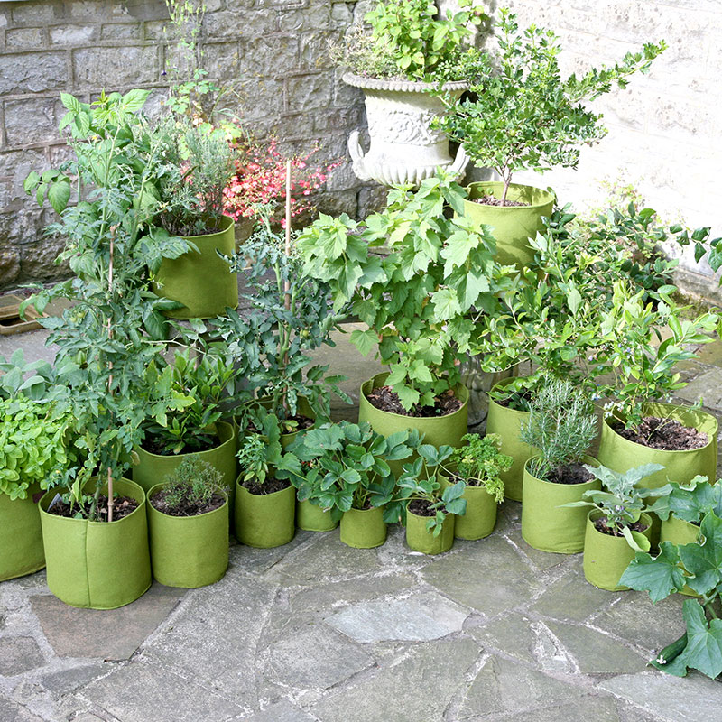 Odlingssäck Vigoroot Vegetable Planter