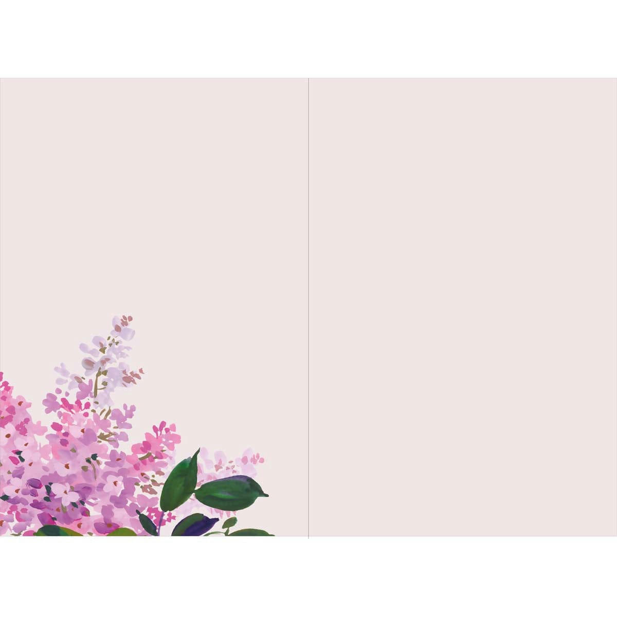 - Carte de voeux toutes mes félicitations