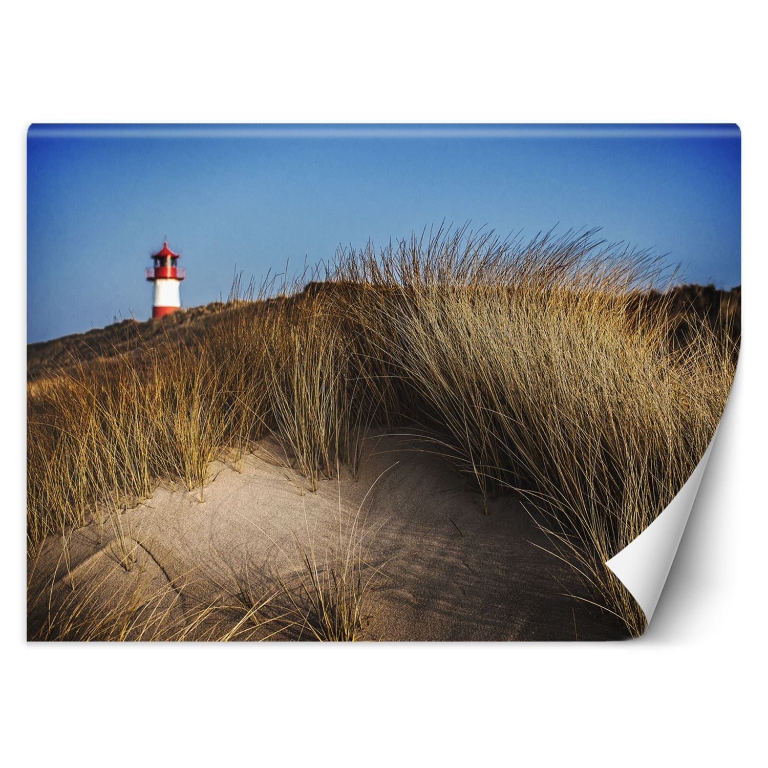 Feeby Fototapeta, Latarnia morska wydmy trawy morze 150x105